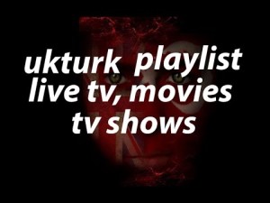 Read more about the article How to install UK Turks Addon gor FREE LIVE TV, MOVIES and SHOWS